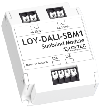 LOY-DALI-SBM1